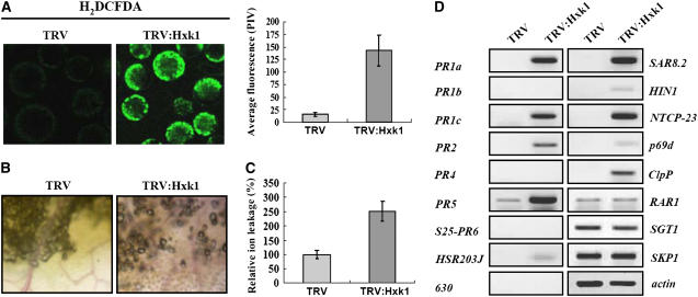 Figure 5.