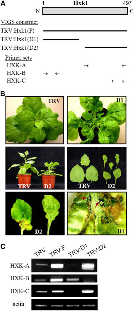 Figure 2.