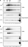 FIG. 6.