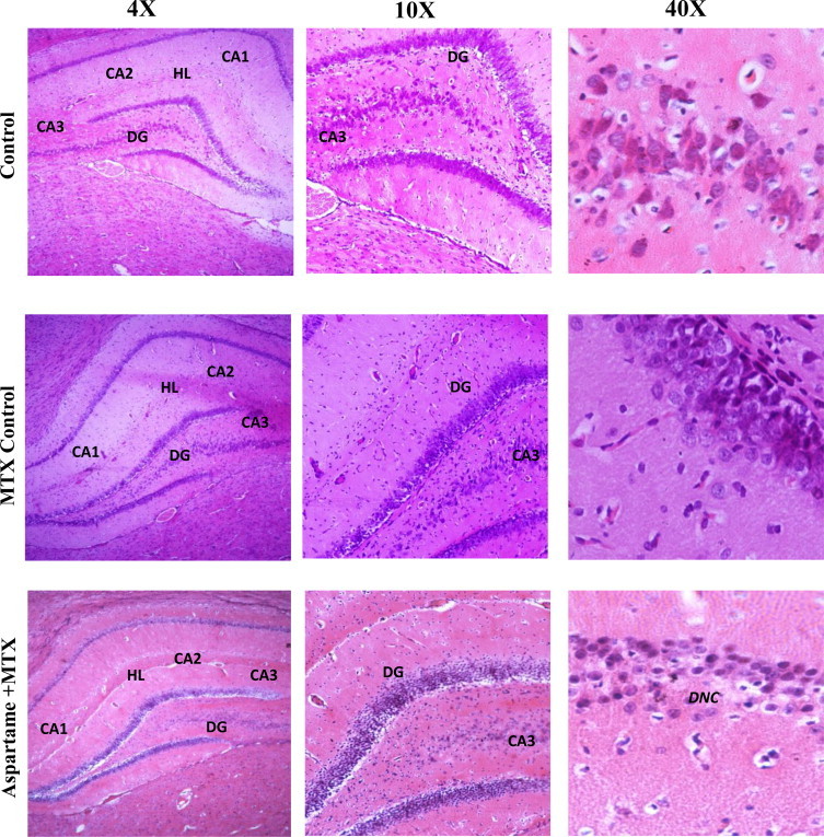 Fig. 13