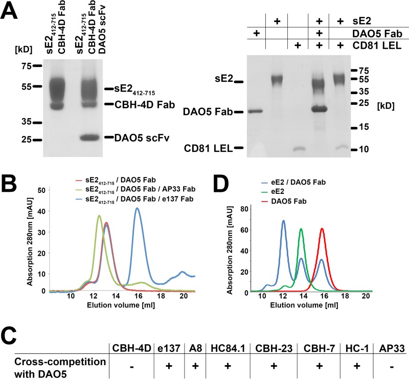 FIG 3 