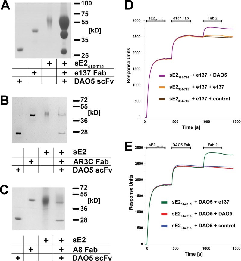 FIG 4 