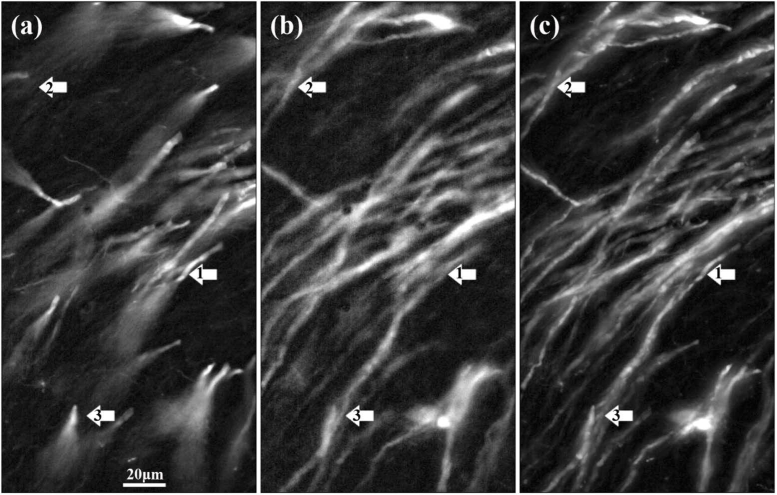 Fig. 7.