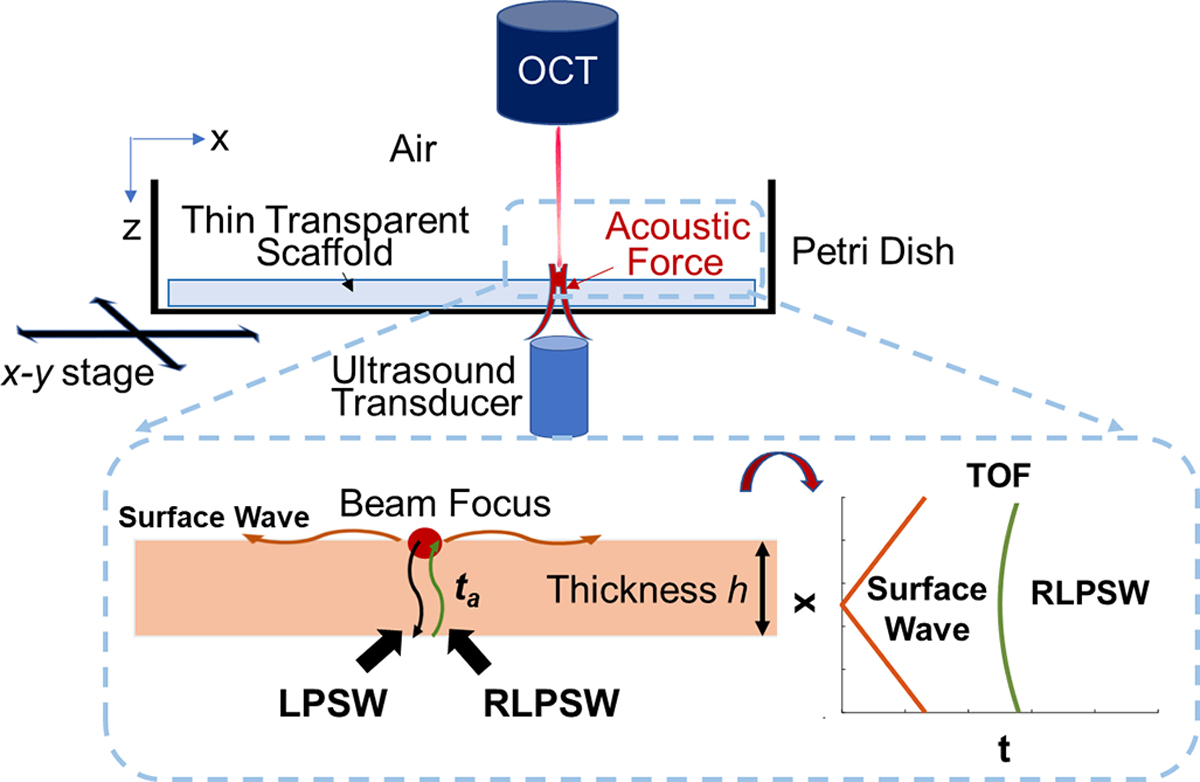 Fig. 1.