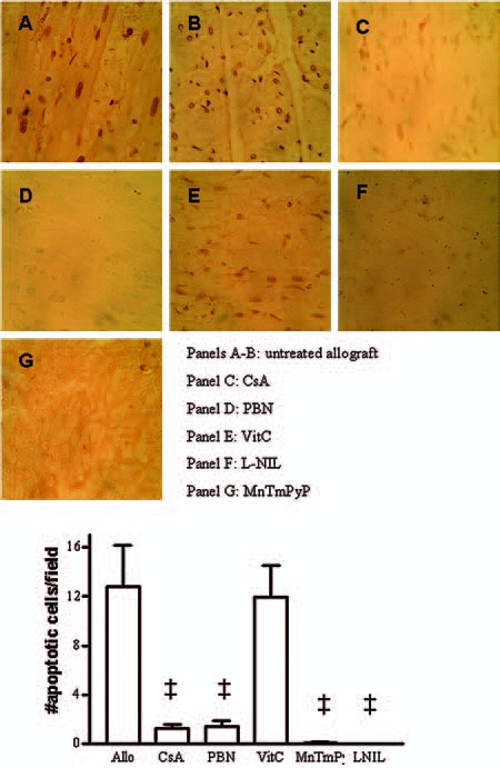 FIG. 7.