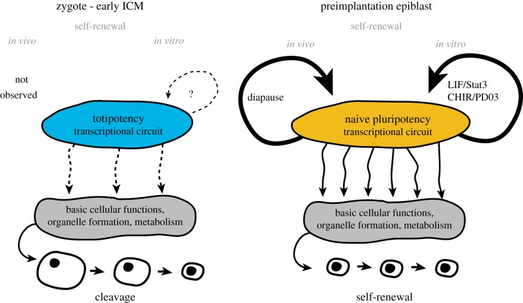 Figure 5.