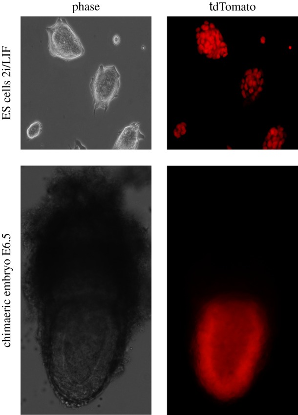 Figure 4.