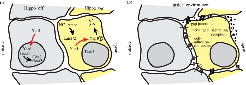 Figure 2.