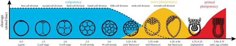 Figure 1.