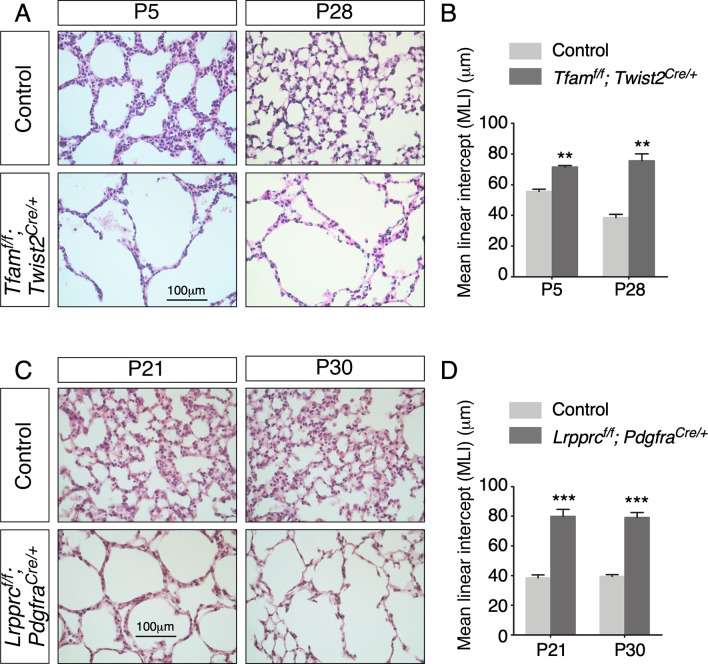 Figure 5—figure supplement 3.