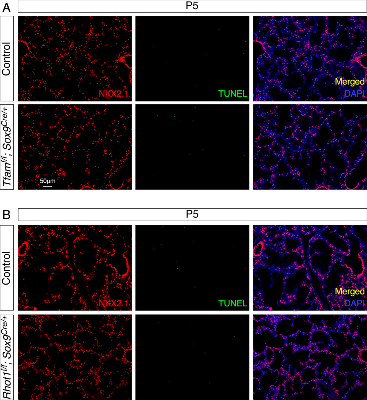 Figure 3—figure supplement 3.