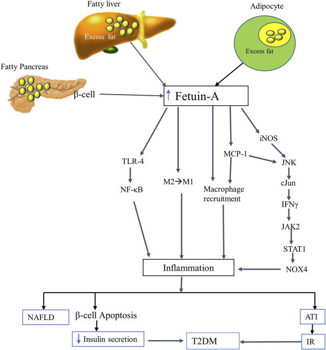 FIGURE 2