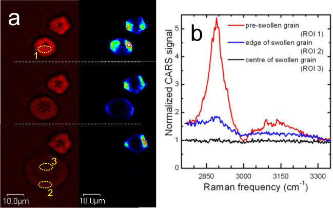 Fig. 3