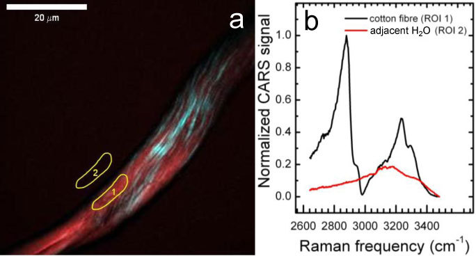 Fig. 4