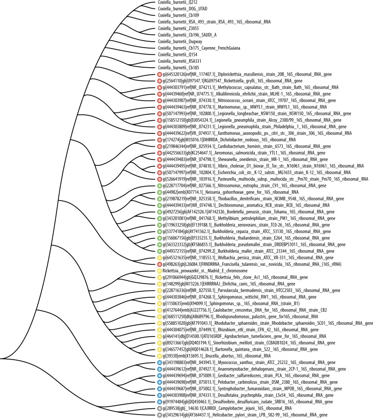 FIG 2