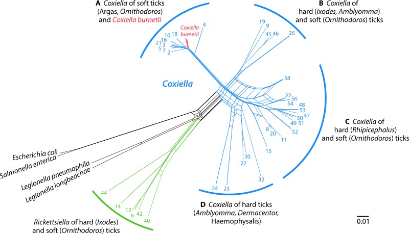 FIG 3