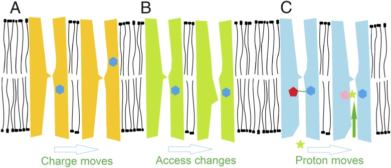 Fig. 1.