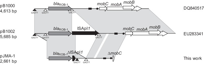 FIG 2