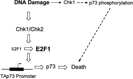 Figure 9.