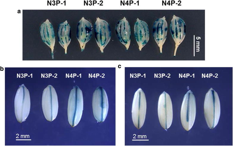 Fig. 9