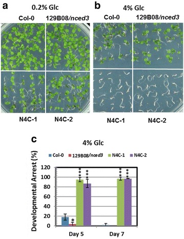 Fig. 4