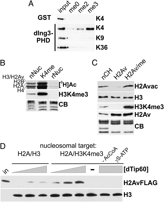 Fig. 5.