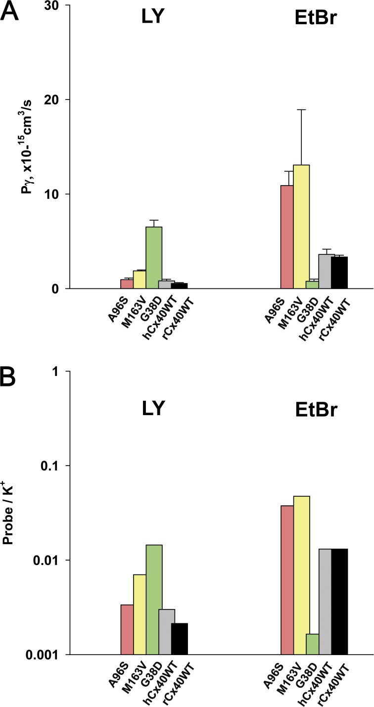 Figure 6.