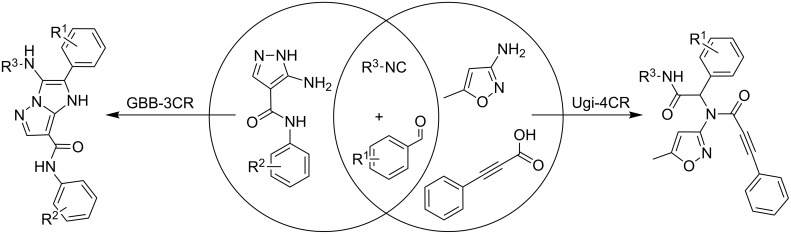 Scheme 2