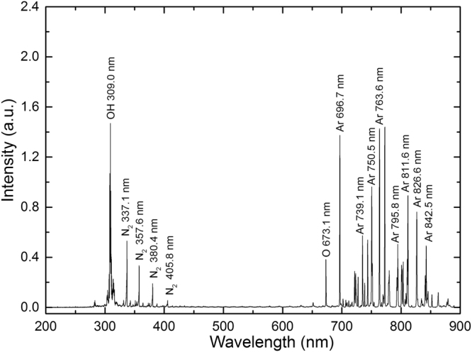 Figure 2