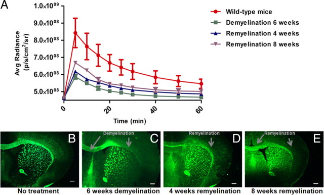 Figure 10.