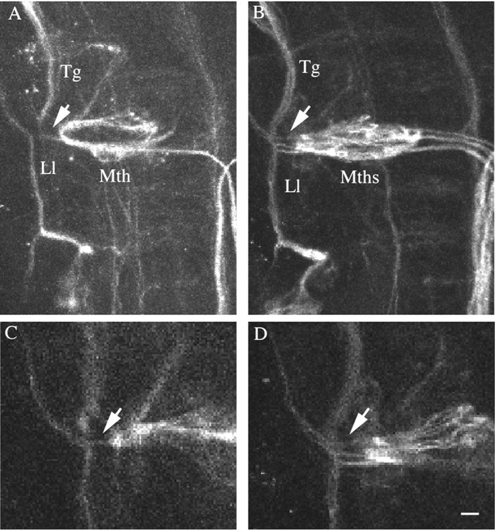 Figure 3.