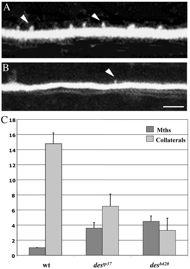 Figure 5.