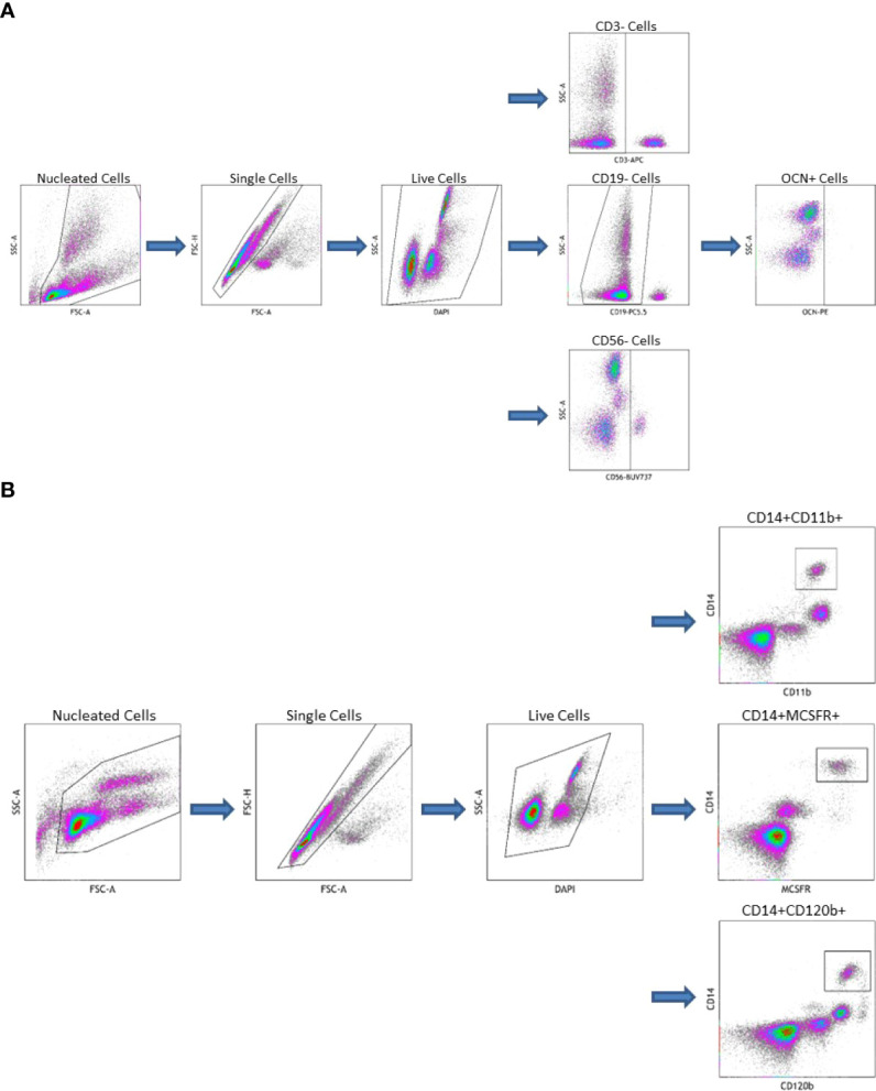 Figure 1