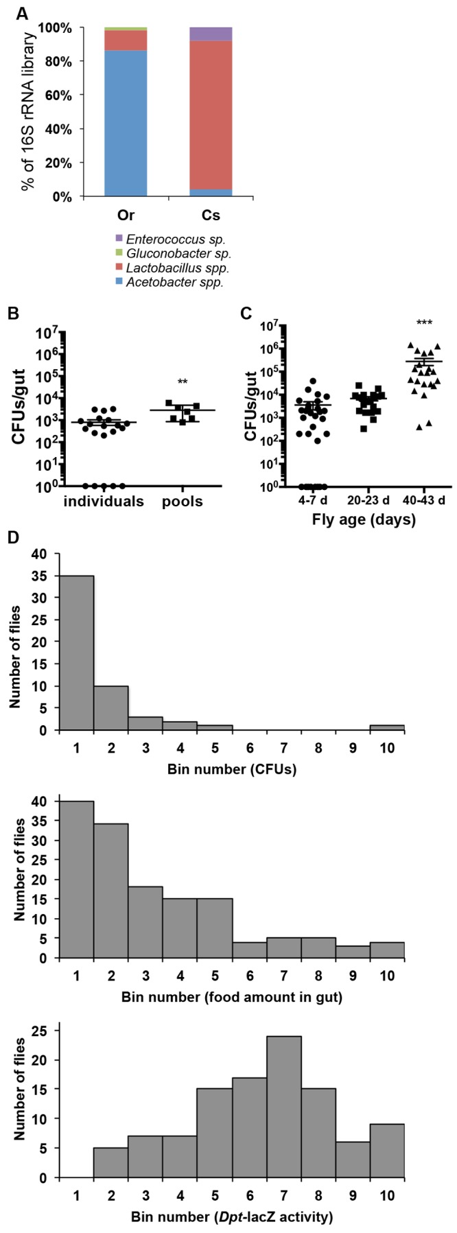 FIG 1 