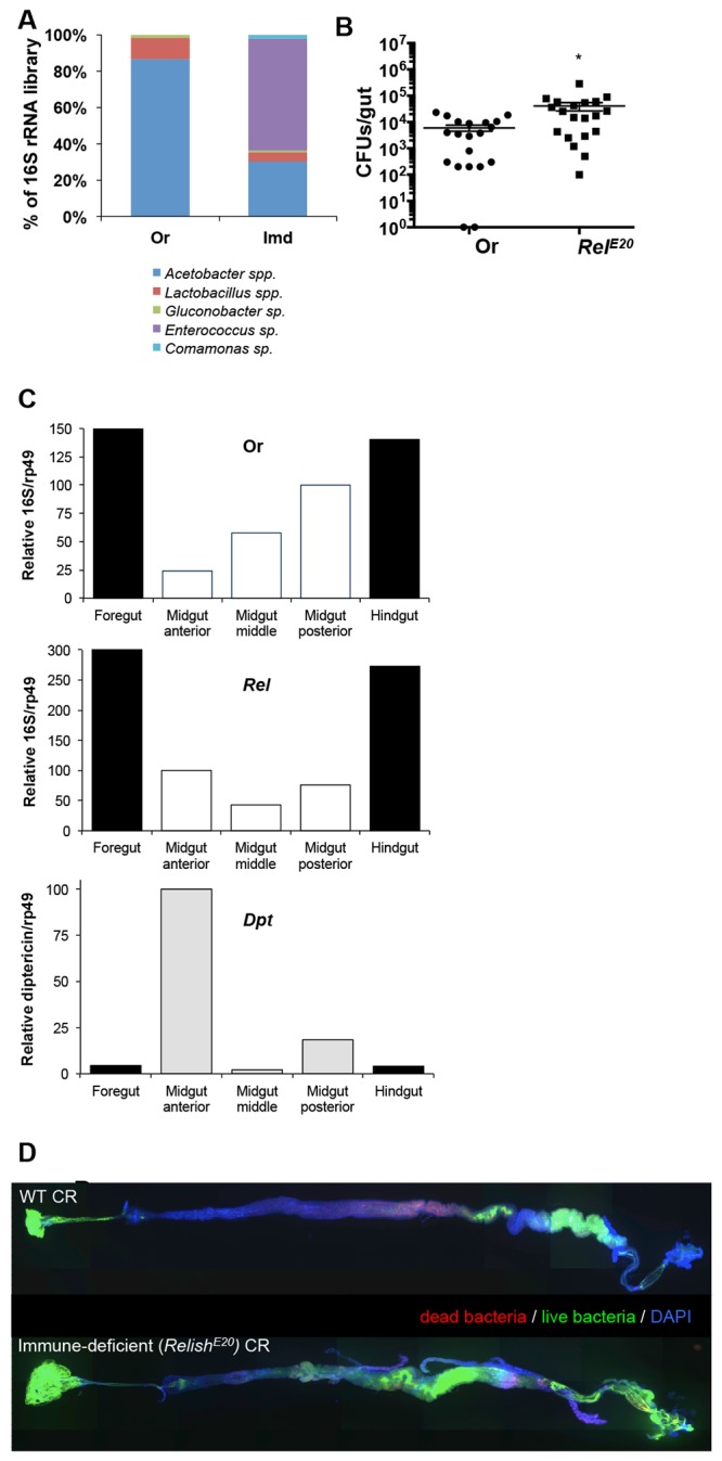 FIG 4 