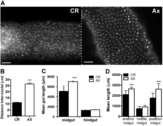 FIG 6 