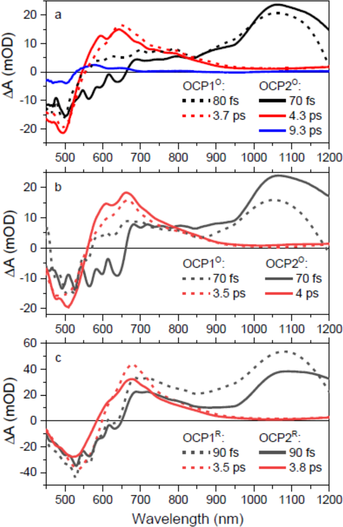 Figure 6: