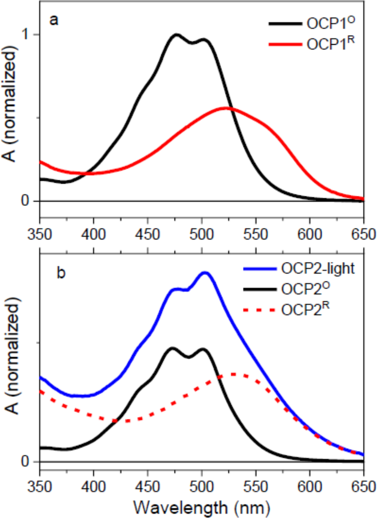 Figure 2: