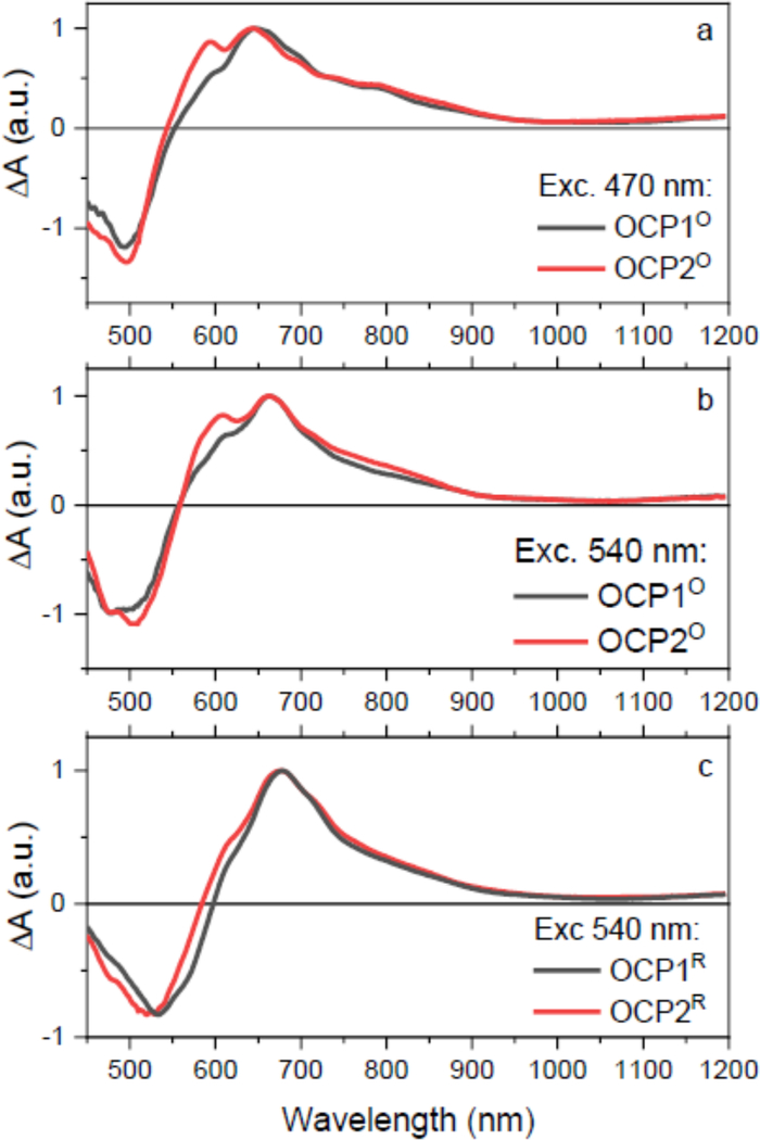 Figure 3: