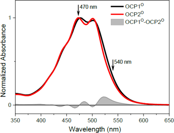 Figure 1: