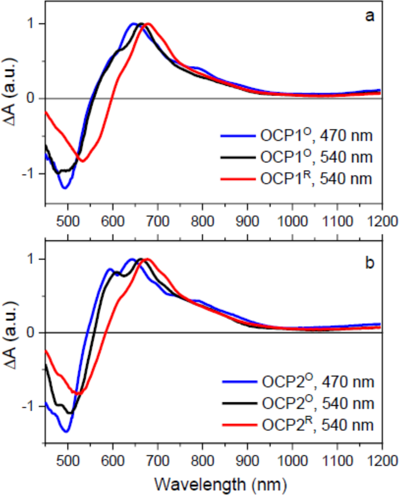 Figure 4: