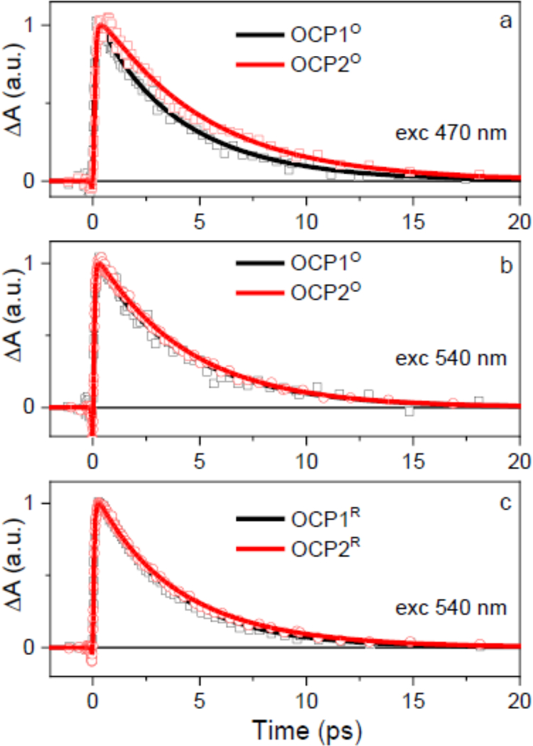 Figure 5: