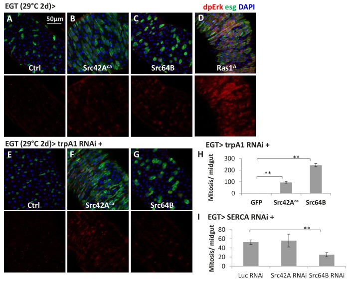 Figure 6—figure supplement 2.