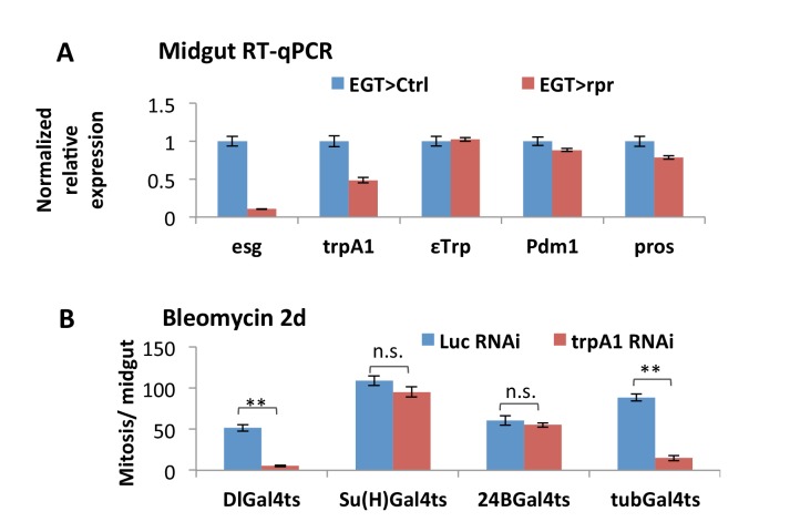 Figure 3—figure supplement 2.