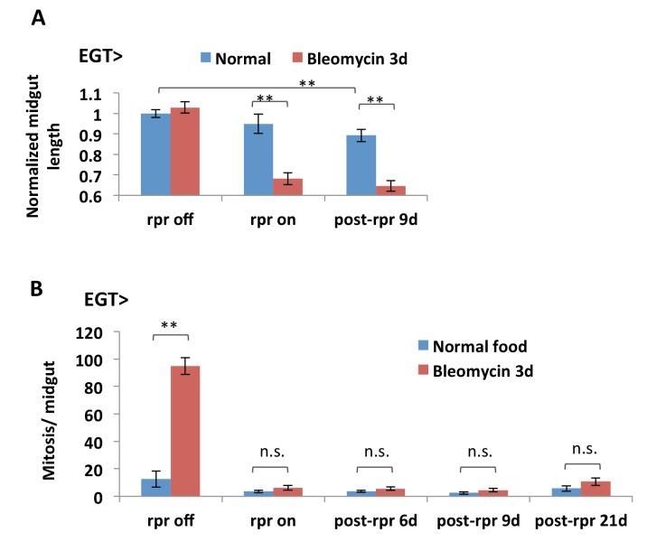 Figure 1—figure supplement 3.