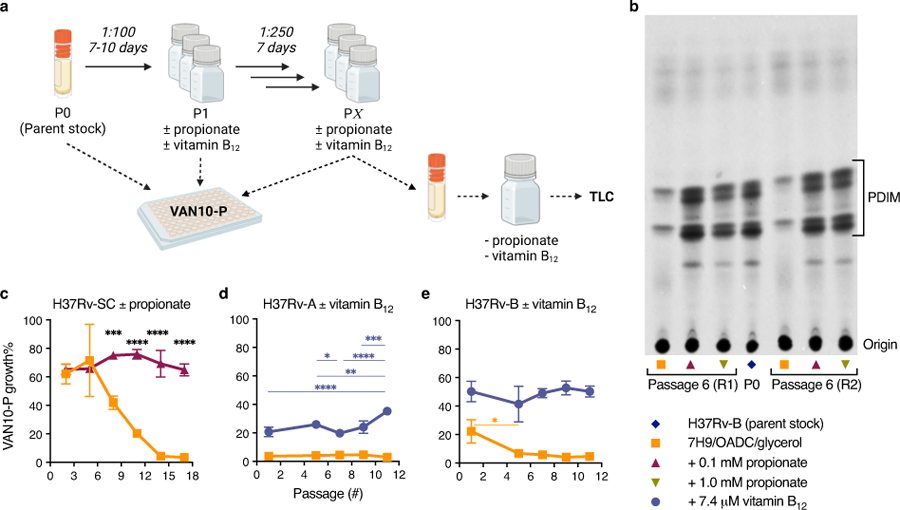 Extended Data Fig. 8