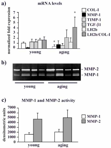 Fig. (2)