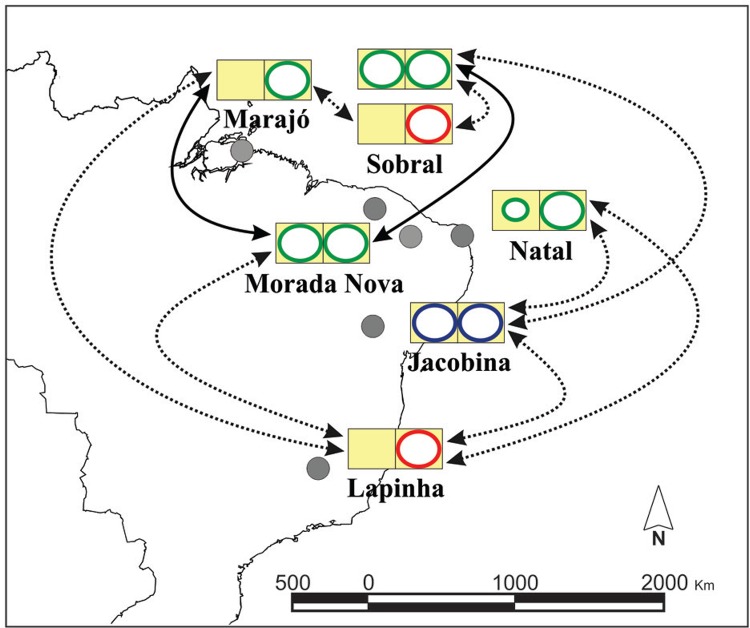 Fig. 2