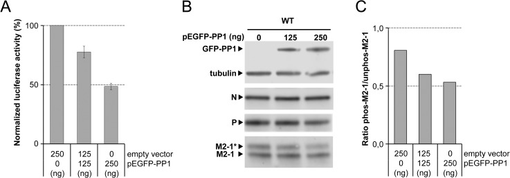 Fig 9