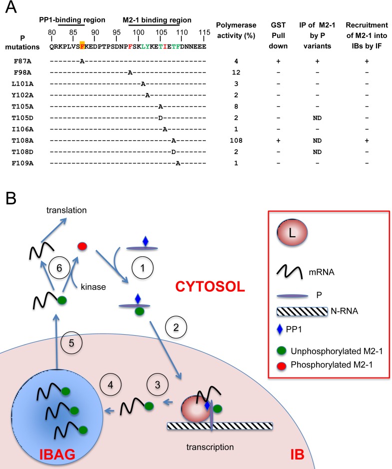 Fig 10